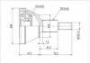 球笼 CV Joint:AD-805-Model