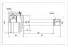 球笼 CV Joint:TO-025