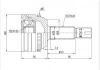 球笼 CV Joint:TO-310A