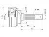 球笼 CV Joint:43410-12171