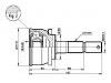 CV Joint:39100-01B02