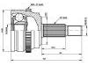 球笼 CV Joint:82 00 169 281