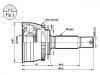 球笼 CV Joint:49500-17150