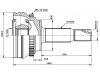 球笼 CV Joint:43410-12670