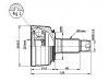 CV Joint:44010-S04-010